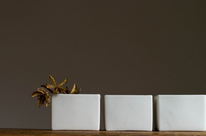 画像12: スエ  トシヒロ　カクモノ・SS