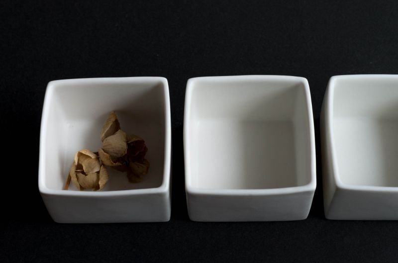 画像8: スエ  トシヒロ　カクモノ・SS