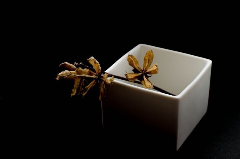 画像9: スエ  トシヒロ　カクモノ・S