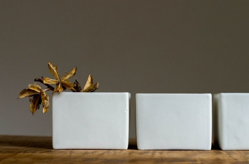 画像12: スエ  トシヒロ　カクモノ・S