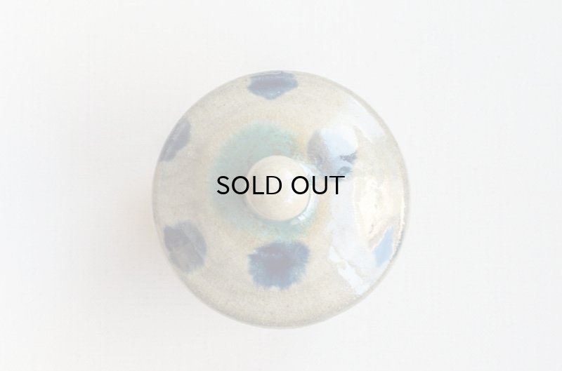 画像5: 北窯・宮城正享工房　鈷点打蓋物