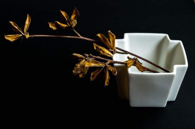 画像7: スエ  トシヒロ　十字カクモノ